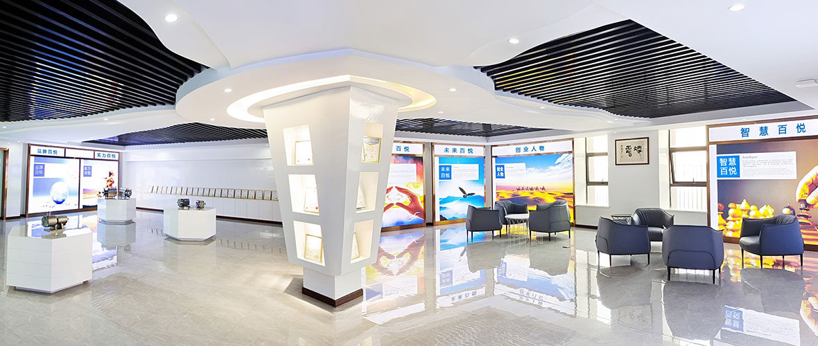 ZHEJIANG BYO FLOW CO.,LTD